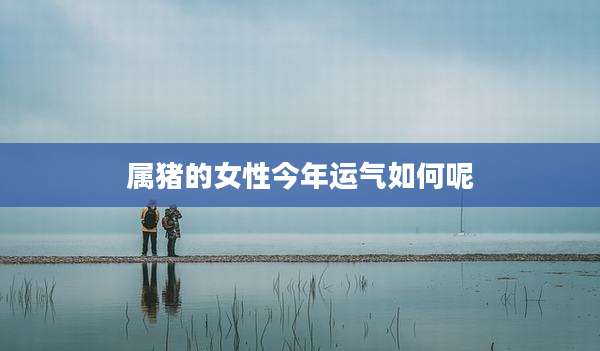 属猪的女性今年运气如何呢