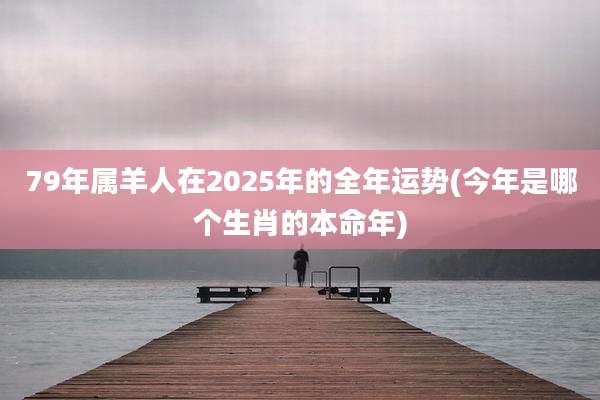 79年属羊人在2025年的全年运势(今年是哪个生肖的本命年)
