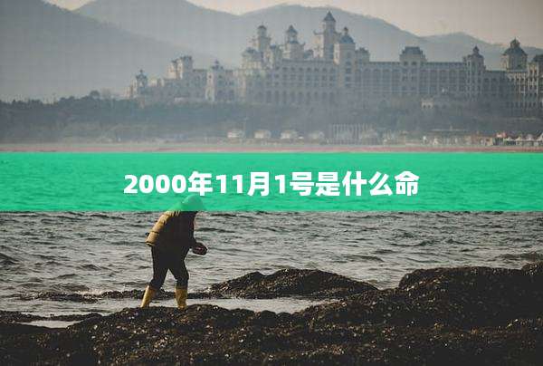 2000年11月1号是什么命