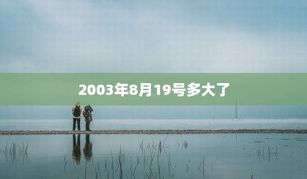 2003年8月19号多大了