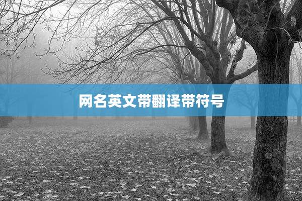 网名英文带翻译带符号