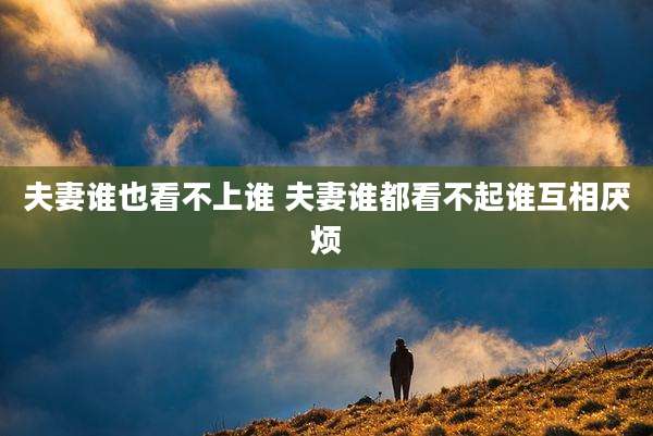 夫妻谁也看不上谁 夫妻谁都看不起谁互相厌烦
