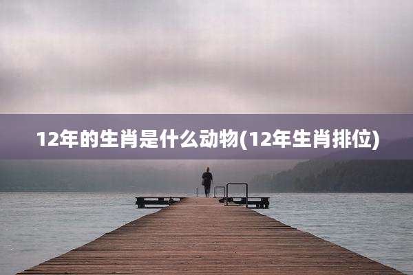 12年的生肖是什么动物(12年生肖排位)