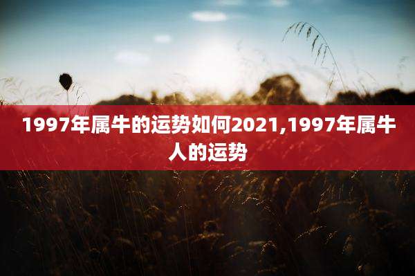 1997年属牛的运势如何2021,1997年属牛人的运势