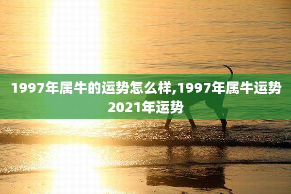 1997年属牛的运势怎么样,1997年属牛运势2021年运势