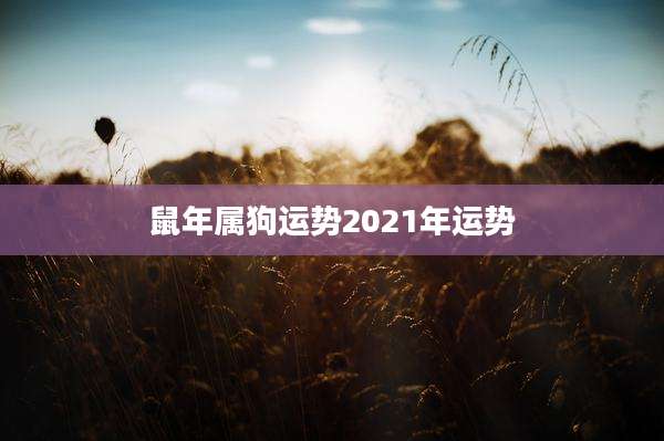 鼠年属狗运势2021年运势