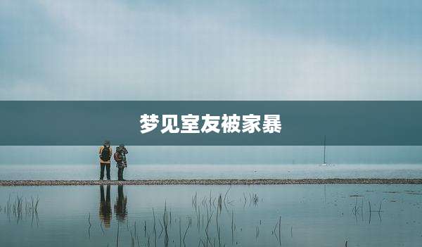 梦见室友被家暴