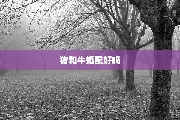 猪和牛婚配好吗