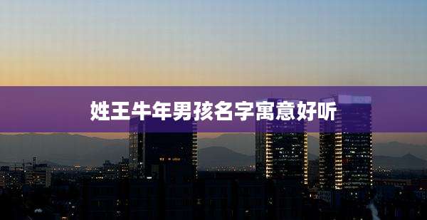 姓王牛年男孩名字寓意好听