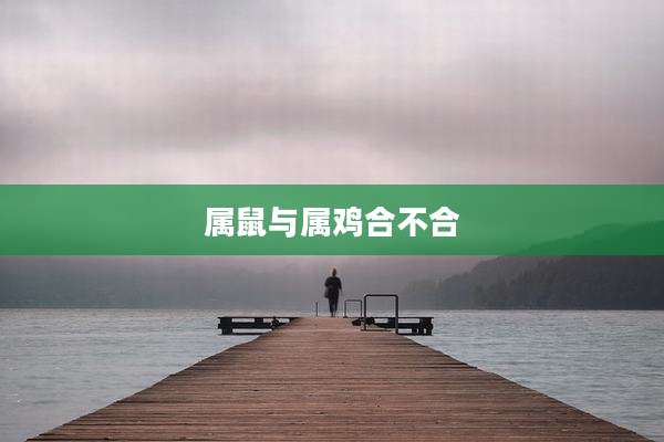 属鼠与属鸡合不合
