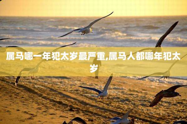 属马哪一年犯太岁最严重,属马人都哪年犯太岁