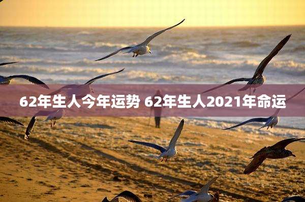 62年生人今年运势 62年生人2021年命运