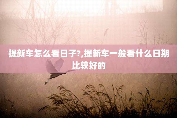 提新车怎么看日子?,提新车一般看什么日期比较好的