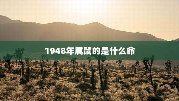 1948年属鼠的是什么命