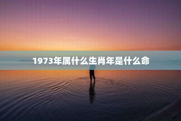 1973年属什么生肖年是什么命