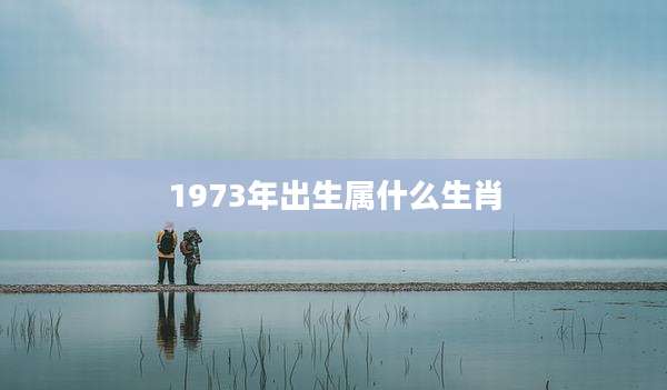 1973年出生属什么生肖