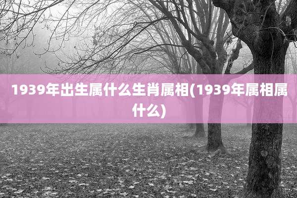 1939年出生属什么生肖属相(1939年属相属什么)