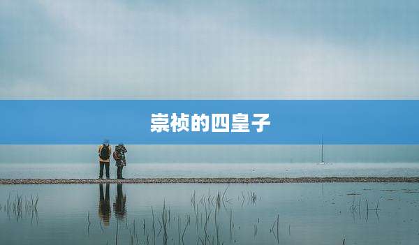 崇祯的四皇子