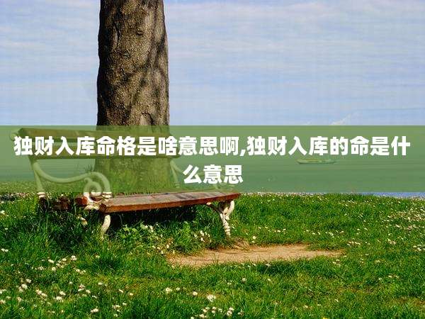 独财入库命格是啥意思啊,独财入库的命是什么意思