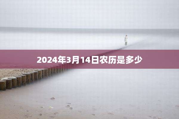 2024年3月14日农历是多少
