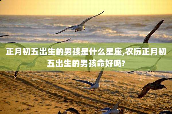 正月初五出生的男孩是什么星座,农历正月初五出生的男孩命好吗?