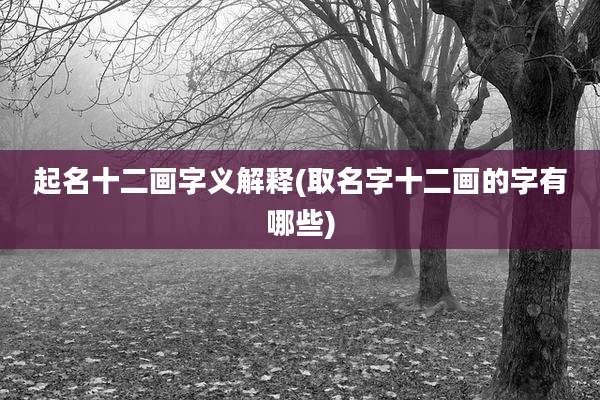 起名十二画字义解释(取名字十二画的字有哪些)