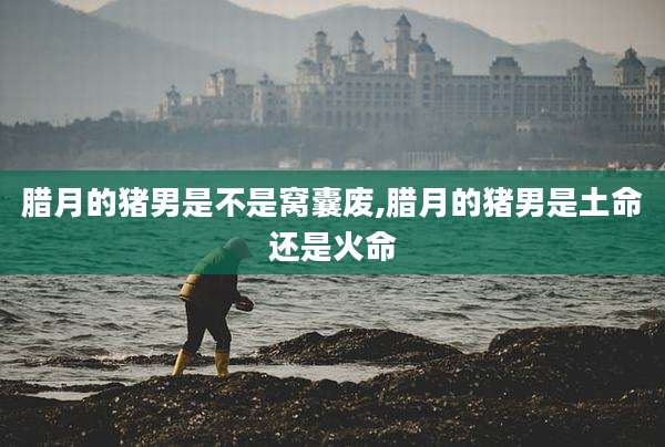 腊月的猪男是不是窝囊废,腊月的猪男是土命还是火命