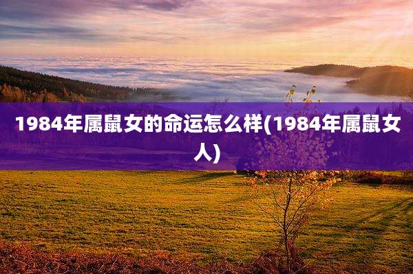 1984年属鼠女的命运怎么样(1984年属鼠女人)