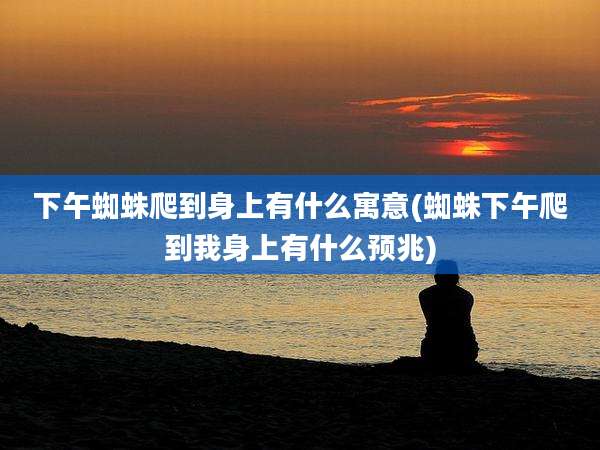 下午蜘蛛爬到身上有什么寓意(蜘蛛下午爬到我身上有什么预兆)