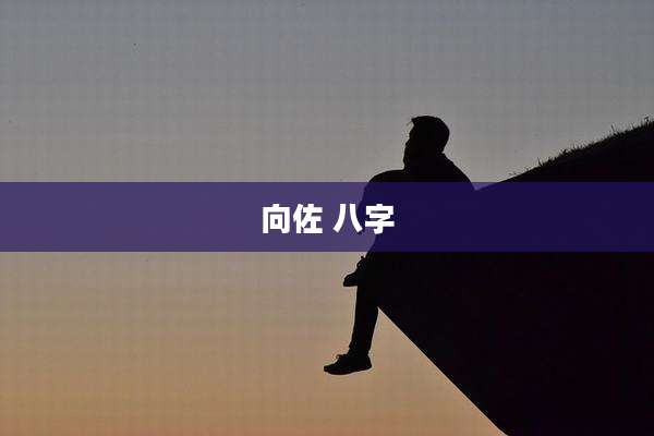 向佐 八字