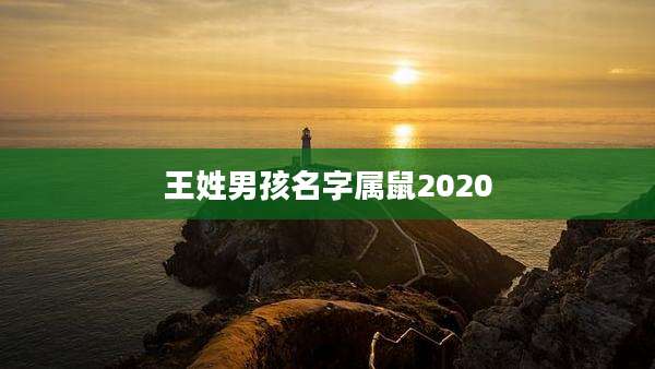 王姓男孩名字属鼠2020