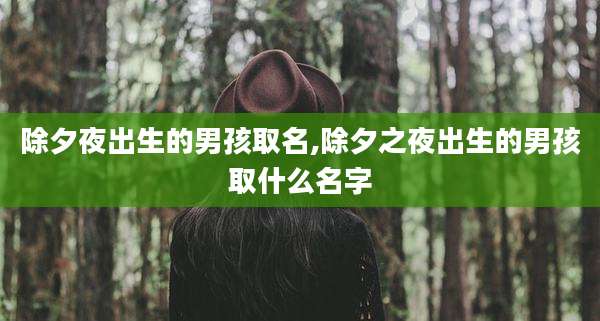 除夕夜出生的男孩取名,除夕之夜出生的男孩取什么名字