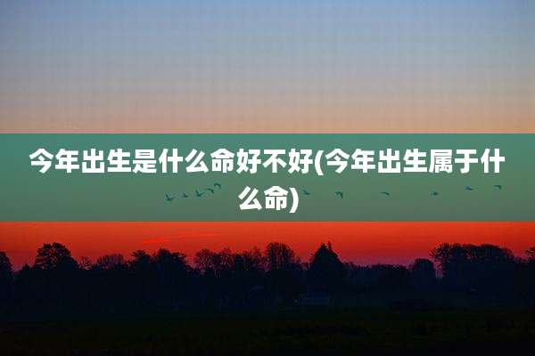 今年出生是什么命好不好(今年出生属于什么命)