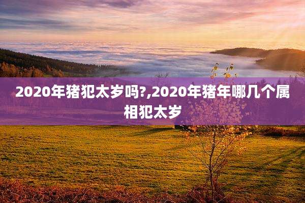 2020年猪犯太岁吗?,2020年猪年哪几个属相犯太岁
