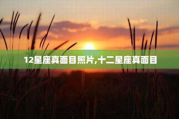 12星座真面目照片,十二星座真面目