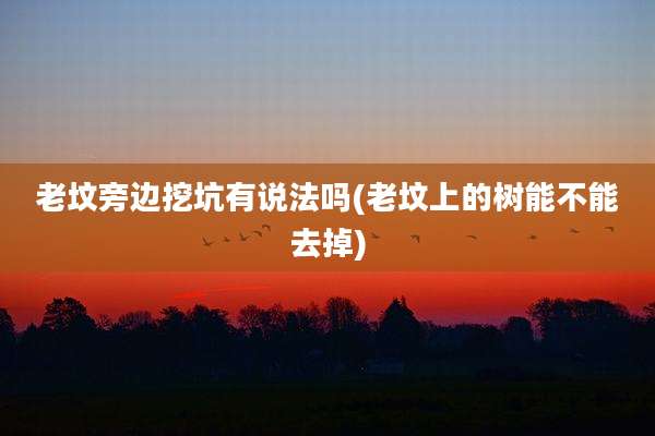 老坟旁边挖坑有说法吗(老坟上的树能不能去掉)