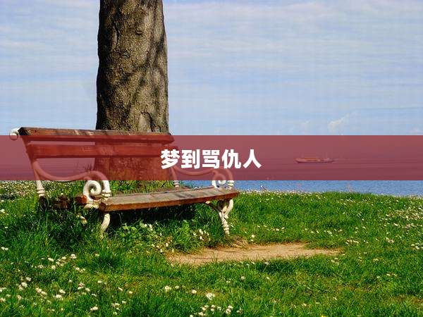 梦到骂仇人