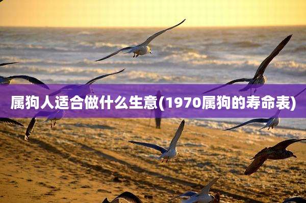 属狗人适合做什么生意(1970属狗的寿命表)