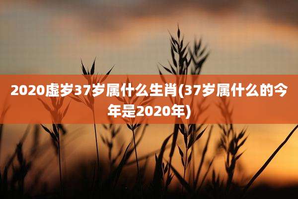 2020虚岁37岁属什么生肖(37岁属什么的今年是2020年)