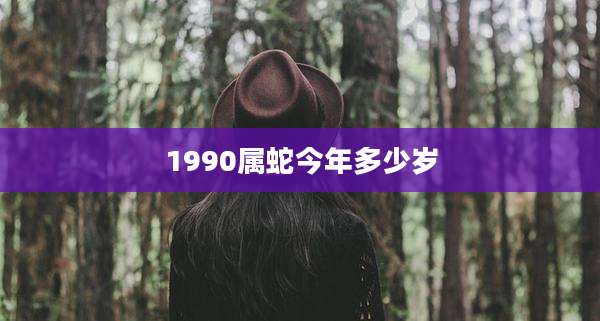 1990属蛇今年多少岁