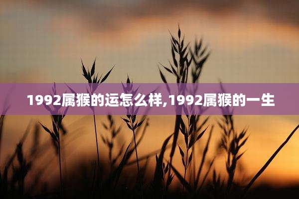 1992属猴的运怎么样,1992属猴的一生