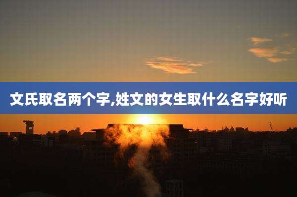 文氏取名两个字,姓文的女生取什么名字好听
