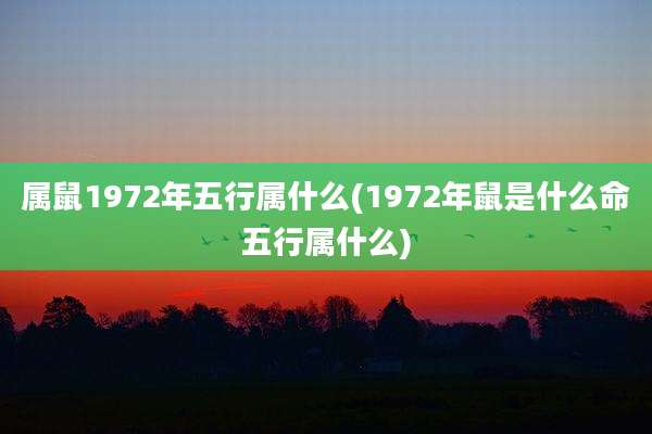 属鼠1972年五行属什么(1972年鼠是什么命五行属什么)