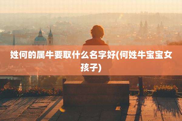 姓何的属牛要取什么名字好(何姓牛宝宝女孩子)