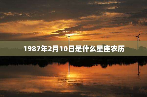 1987年2月10日是什么星座农历