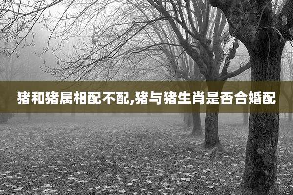 猪和猪属相配不配,猪与猪生肖是否合婚配