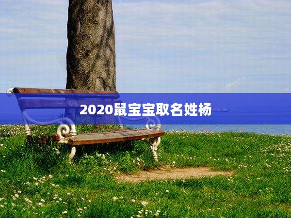 2020鼠宝宝取名姓杨