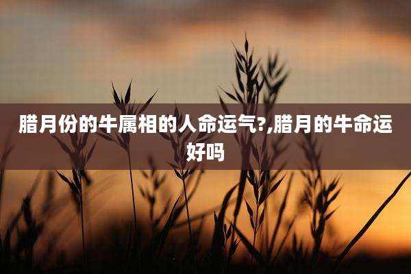 腊月份的牛属相的人命运气?,腊月的牛命运好吗