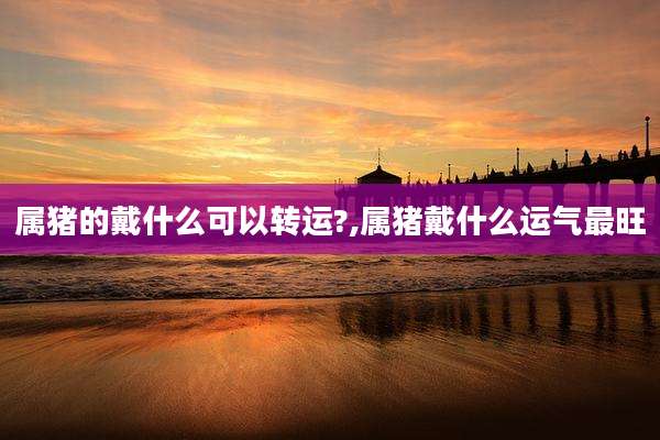 属猪的戴什么可以转运?,属猪戴什么运气最旺