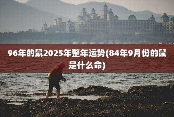 96年的鼠2025年整年运势(84年9月份的鼠是什么命)